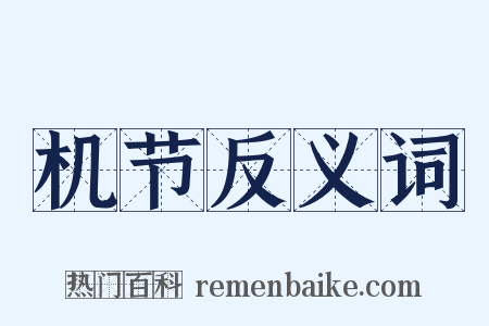 机节反义词是什么意思的图片